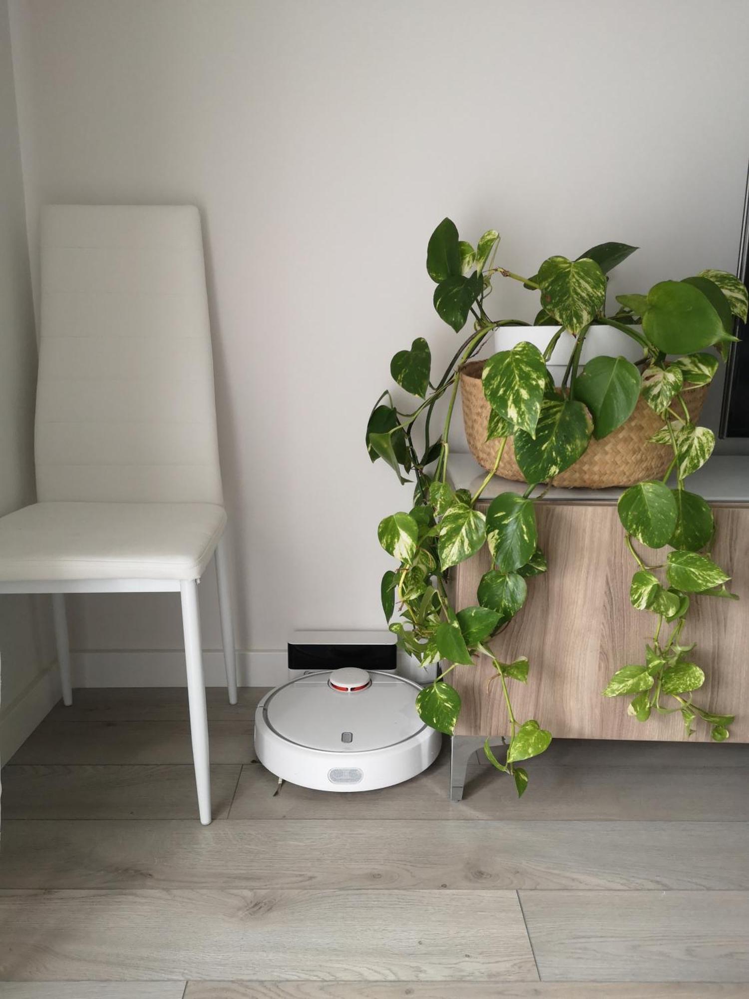 Playa Valle Niza Apartment Malaga